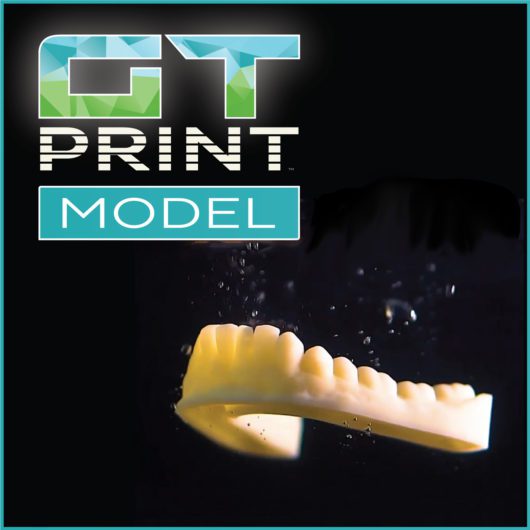 GT PRINT MODEL (W-D) - Super-Fast, Water-Washable 3D Printer Resin